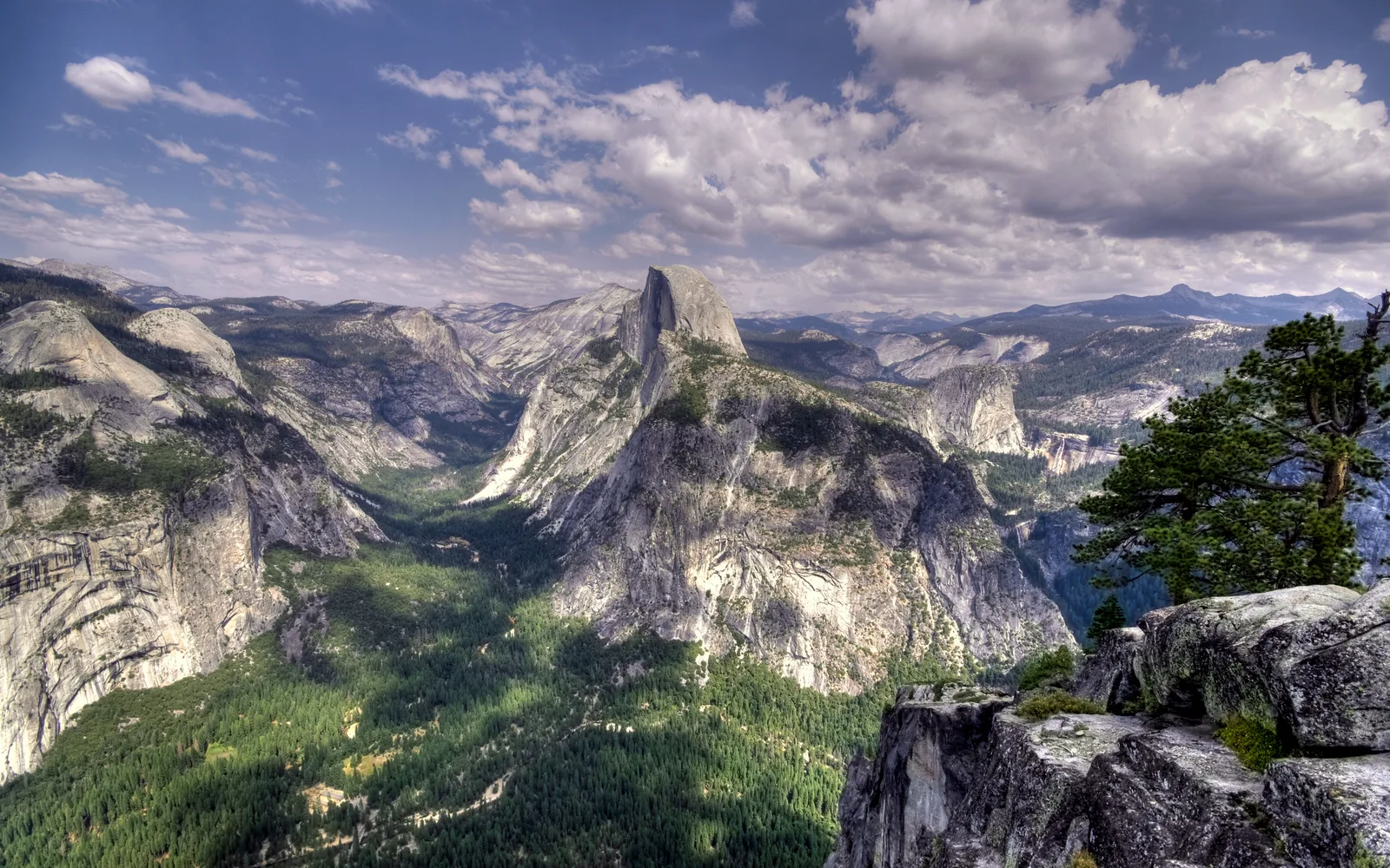 Half Dome granite formation in Yosemite Valley with forested slopes below